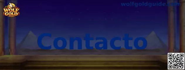 Contacto Wolf Gold
