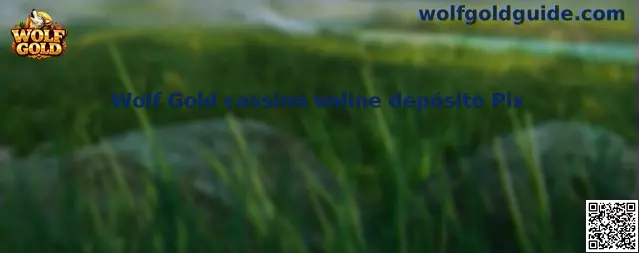 Guía informativa sobre Wolf Gold cassino online depósito Pix