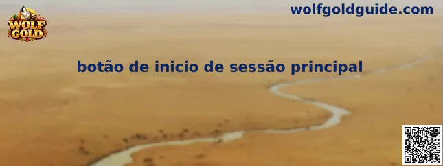 Botão de inicio de sessão principal